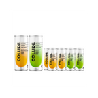 SAMPLER 12 PACK